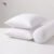 Shimul Pillow 3pc Combo