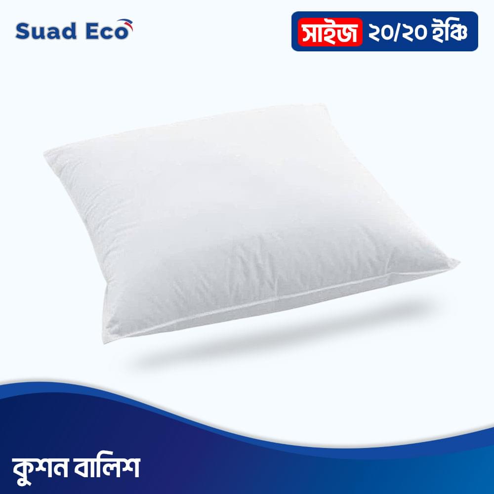 20/20 Size Cushion Pillow