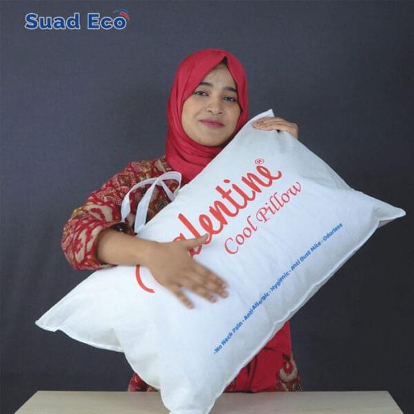 maircofiber-pillow